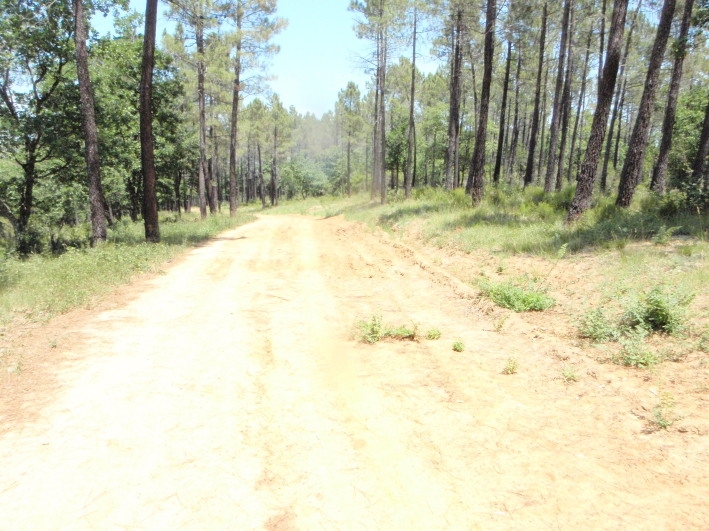 Village Camps International Summer Camp Ardèche, France 2019-07-26 https://www.villagecamps.com/journals_admin/images/252-8-July 8 04520110708.jpg Village Camps International Summer Camp Ardèche, France 2019-07-26 https://www.villagecamps.com/journals_admin/images/252-8-July 8 04520110708.jpg
